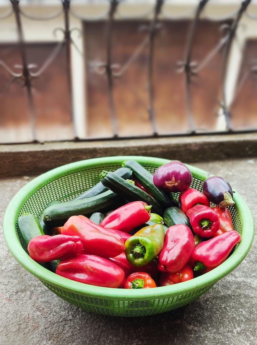 A donation of locally grown vegetables.