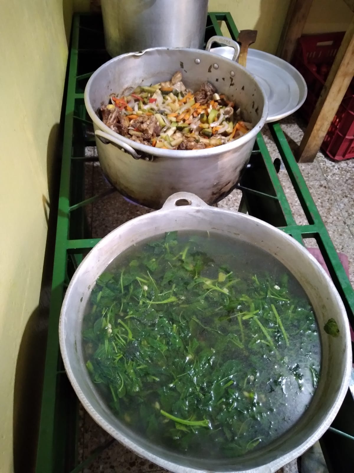 Leafy greens and chicken ready to be served for lunch!