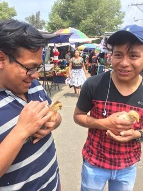 Edwin and Edwin purchasing chickens for our upcoming project.