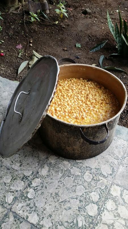 Soaking corn to grind for tortillas.